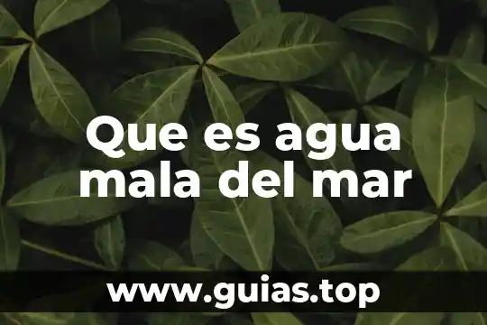 Ríos de agua viva que es 4 Que es agua mala del mar