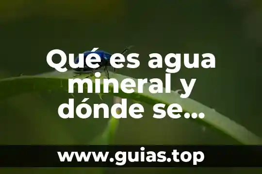 Que es el reino animal vegetal y mineral 4 Qué es agua mineral y dónde se consigue