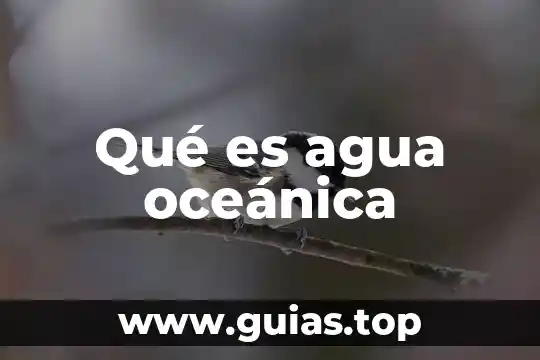 Que es el agua de adhesion 8 Qué es agua oceánica