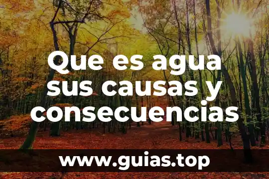 Que es error de activacion de productos word consecuencias 4 Que es agua sus causas y consecuencias