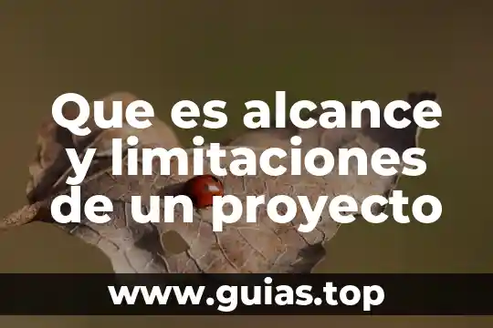 Qué es un alcance de proyecto de estrategias de marketing 6 Que es alcance y limitaciones de un proyecto