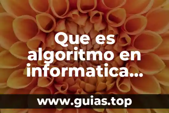 Concepto de que es alteracion auditiva en yahoo 5 Que es algoritmo en informatica informacion