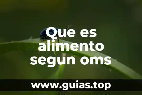 Aborto que es y tipos oms 4 Que es alimento segun oms