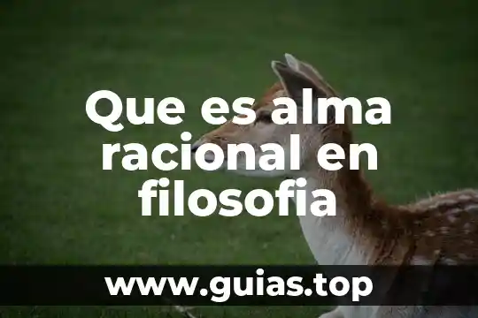 Examen que es la filosofia 6 Que es alma racional en filosofia