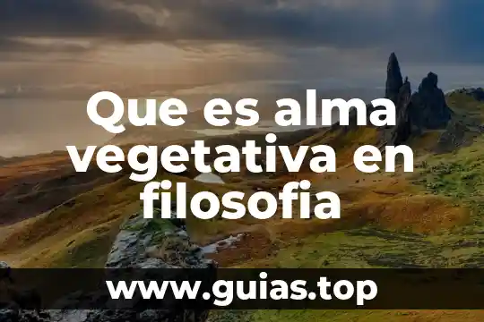Examen que es la filosofia 4 Que es alma vegetativa en filosofia