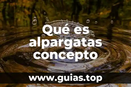 Qué es un comité general en eventos 8 Qué es alpargatas concepto