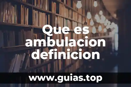 Qué es internet definición para niños 6 Que es ambulacion definicion