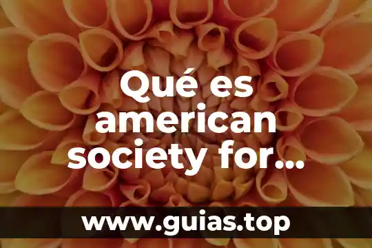 Que es dive en ingles y español 5 Qué es american society for testing and materials en español