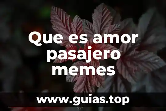 La hora que es y no he saludado memes 4 Que es amor pasajero memes