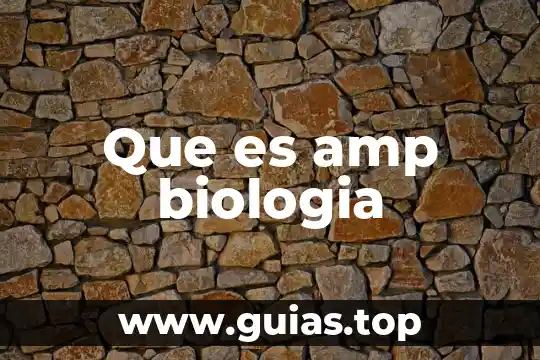 Que es la flor biologia 4 Que es amp biologia