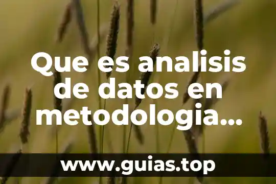 Que es el metodologia de programacion 6 Que es analisis de datos en metodologia dela investigacion