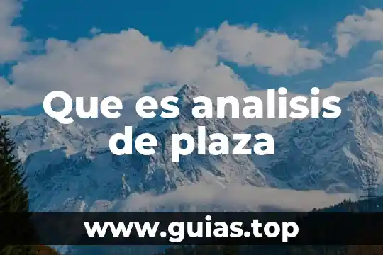 Que es un analisis dupont 7 Que es analisis de plaza