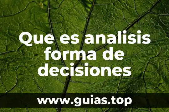 Que es libertad en la toma de decisiones politicas 4 Que es analisis forma de decisiones