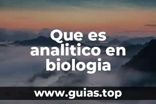Pensamiento geometrico analitico que es una linea recta 7 Que es analitico en biologia