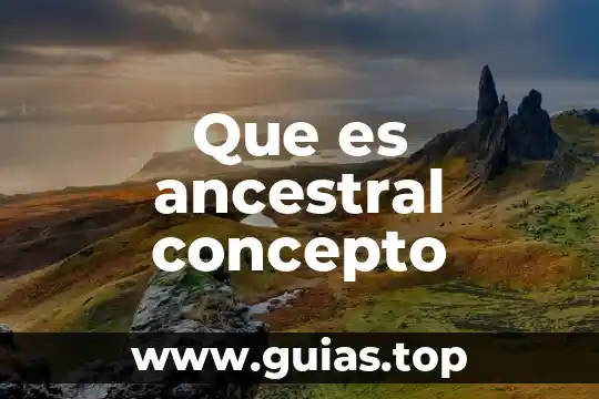 Que es el concepto de irreoactividad 5 Que es ancestral concepto