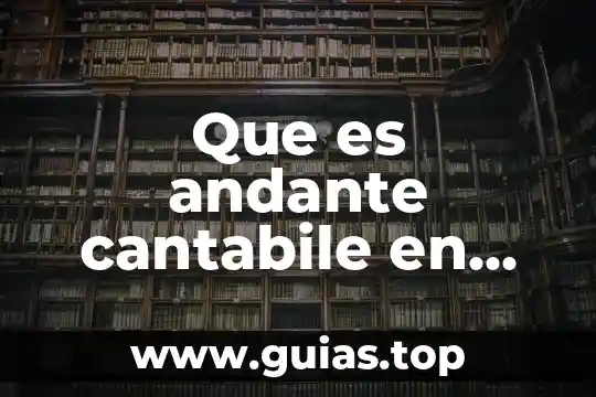 Que es un tendón en musica 7 Que es andante cantabile en musica