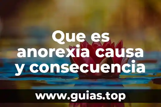 Que es la alimentacion causa y consecuencia 3 Que es anorexia causa y consecuencia