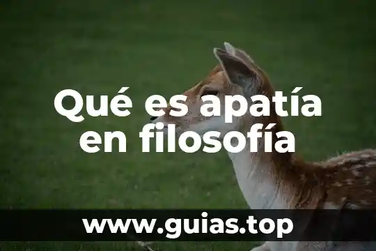 Qué es la silogismo en filosofía 3 Qué es apatía en filosofía