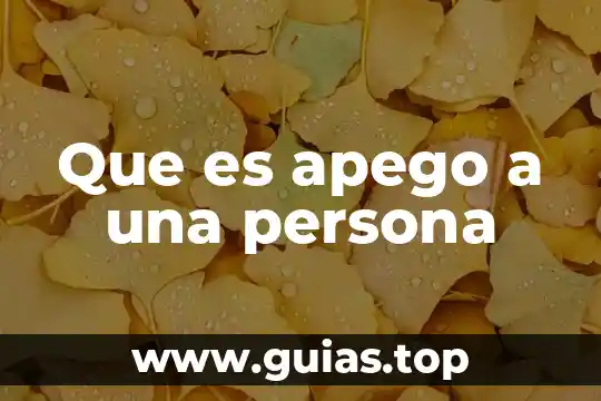 Que es el apego tipos 5 Que es apego a una persona