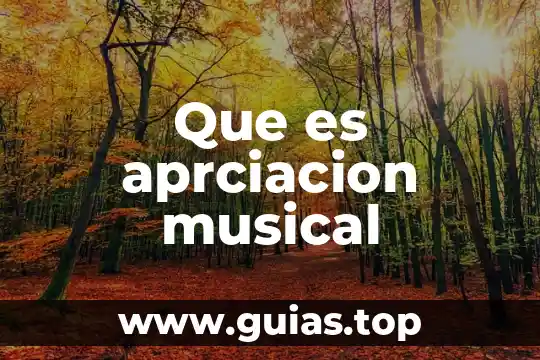 Que es necesidades y su tipos en economia 6 Que es aprciacion musical