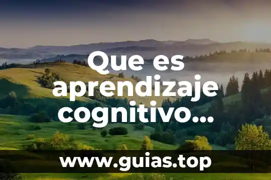 Qué es el día de descanso y tipos 7 Que es aprendizaje cognitivo segun piaget