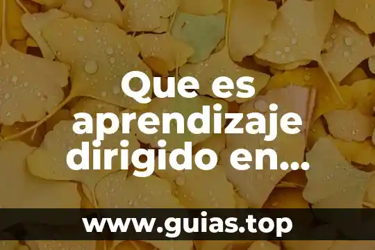 Que es no aprendizaje 8 Que es aprendizaje dirigido en metas