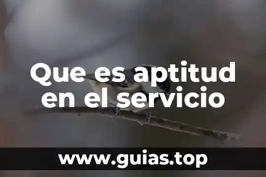 Que es aptitud en el servicio