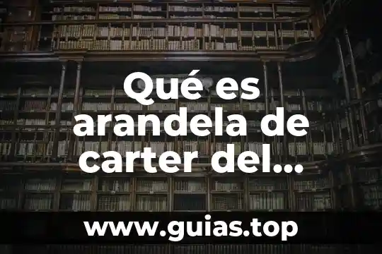 Que es la ilustracion immanuel carter 3 Qué es arandela de carter del versa 2016