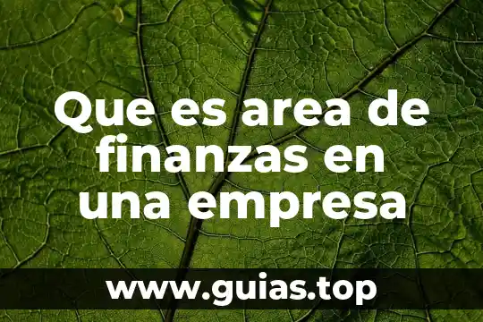 Que es area bianca 5 Que es area de finanzas en una empresa