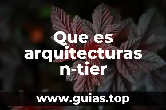 Qué es el número mol 6 Que es arquitecturas n-tier