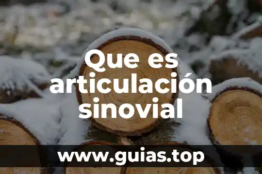 Que es la articulación productiva y tipos 8 Que es articulación sinovial