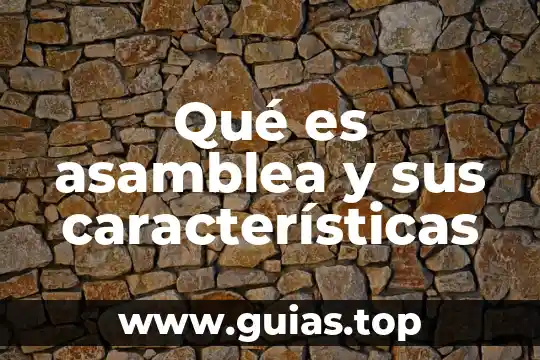 Qué es un blog características y tipos 4 Qué es asamblea y sus características