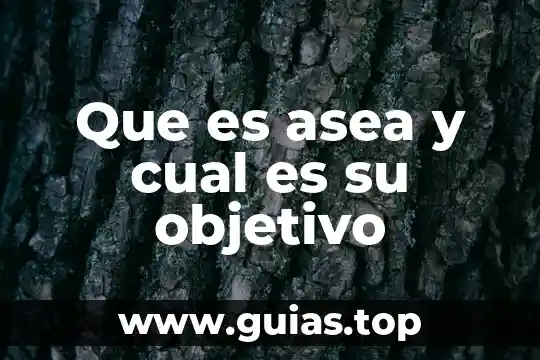 Fideicomiso que es objetivo y caracteristicas 3 Que es asea y cual es su objetivo