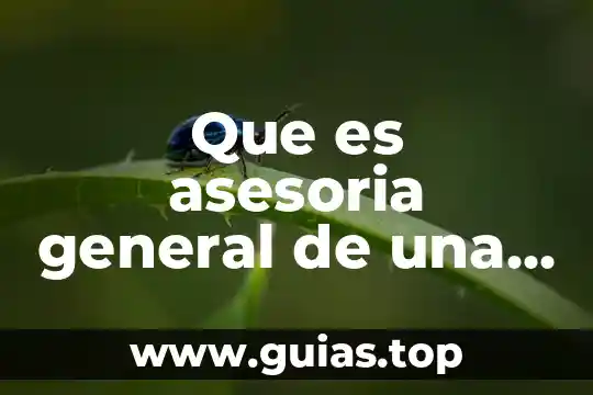 Fiscalía general de justicia estado de méxico que es 7 Que es asesoria general de una empresa
