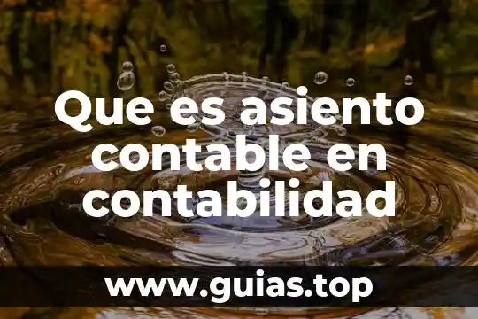 Que es nivel en contabilidad 8 Que es asiento contable en contabilidad