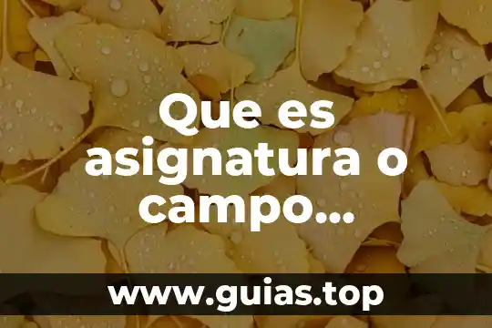 Que es el campo del estudio de la mercadotecnia 4 Que es asignatura o campo formativo