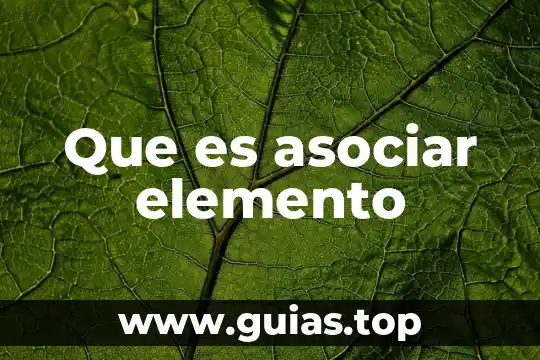 Que es un elemento de muestra 8 Que es asociar elemento