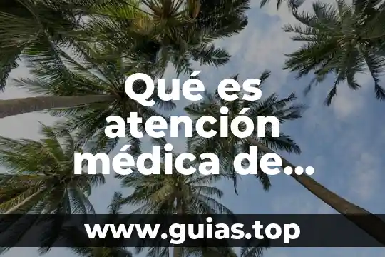 Qué es la atención médica infantil 7 Qué es atención médica de primer orden