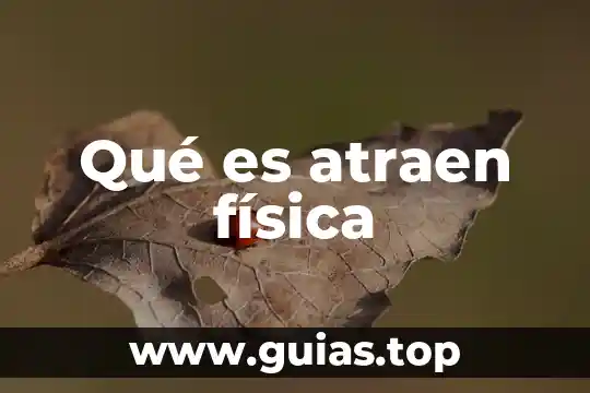 Que es una singularidad en fisica 6 Qué es atraen física