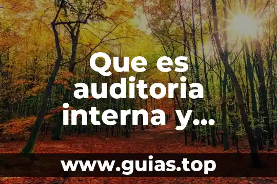 Que es la realidad interna 6 Que es auditoria interna y extrna