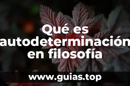 ¿Qué es sinderesis en filosofía? 4 Qué es autodeterminación en filosofía