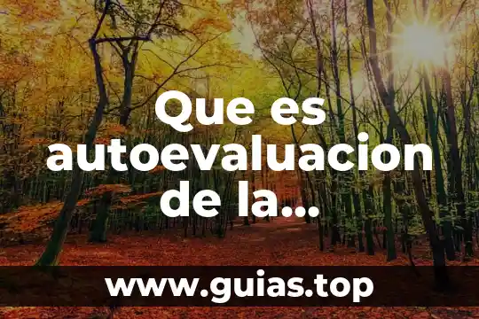 Qué es cdma en organización de computadoras 7 Que es autoevaluacion de la organizacion