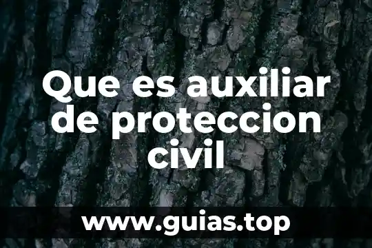 En la lingüística, qué es un auxiliar administrativo 4 Que es auxiliar de proteccion civil