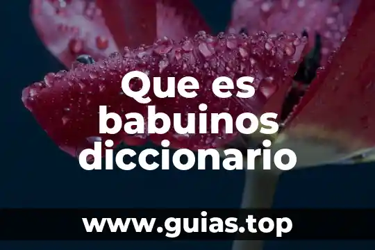 Que es muerte definicion de un diccionario 8 Que es babuinos diccionario