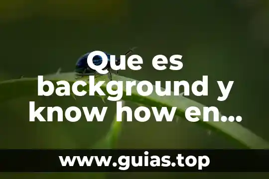 Qué es concepto en app de tarjeta de crédito 5 Que es background y know how en administracion