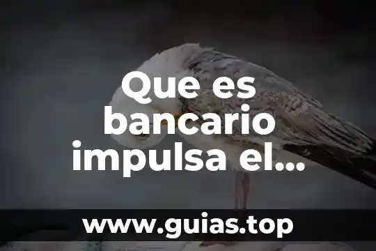 Que es un auto comercio 6 Que es bancario impulsa el comercio internacional