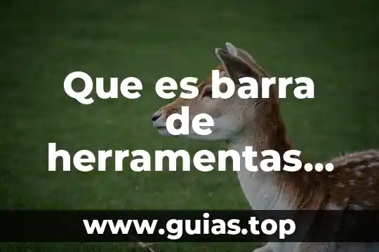 Que es una barra de planta 6 Que es barra de herramentas en word