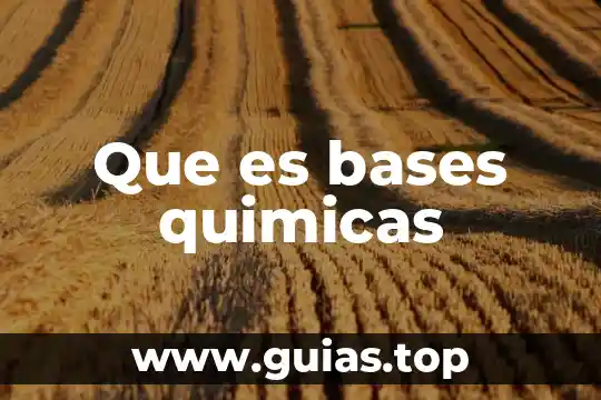 Que es una reaaccion quimicas reversible 3 Que es bases quimicas