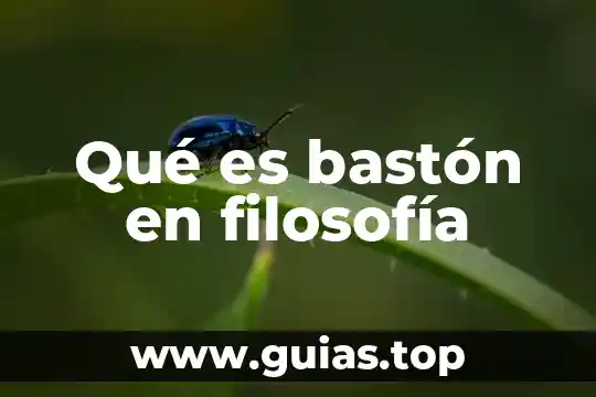 Que es el acto liberador en filosofía 3 Qué es bastón en filosofía