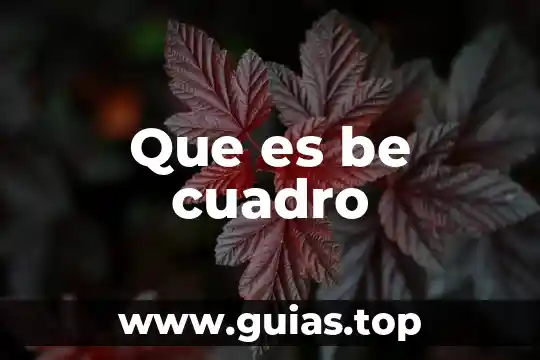 Qué es un cuadro de compensación en un CV 3 Que es be cuadro